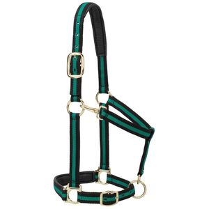 Collier de tête fantaisie en nylon PP clouté pour cheval, plusieurs couleurs, prix de gros - Product Image 3