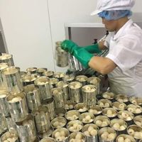 PRODUIT PHARE : Lychees en conserve dans sirop sucré, ingrédients purs, prêts à consommer, pour desserts et mélanges de boissons, rehausse le goût et rafraîchit