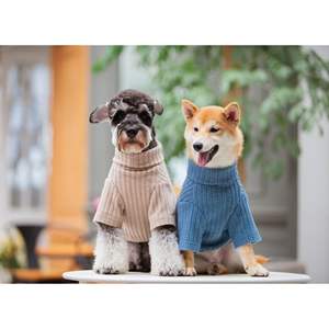 Pull et robe pour chien Modress Fashion Designer, vêtements élégants pour animaux de compagnie - Product Image 5
