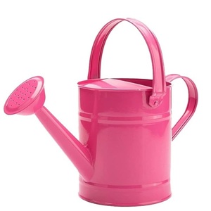 Nouvelle Arrivée : Arrosoir en Métal pour l'Entretien des Plantes de Jardin, Pot à Eau Durable avec Long Bec, Taille et Couleur Personnalisables - Product Image 4