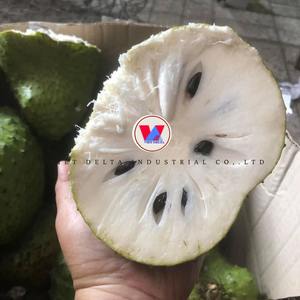 FRUIT DE COROSSOL CONGELÉ IQF DE QUALITÉ A DU VIETNAM – SAVEUR SUCRÉE ET ACIDE NATURELLE – STANDARD D'EXPORTATION - Product Image 4