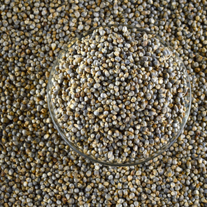 Millet perlé premium, céréale naturelle entière et nutritive, qualité export pour la vente en gros et l'approvisionnement en vrac dans le secteur agricole mondial - Product Image 6