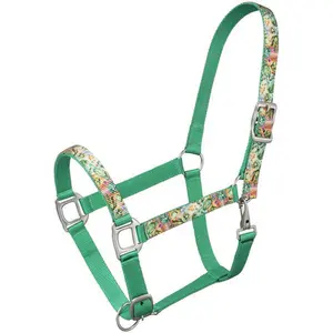 High Quality nylon halters may be used for moving a horse from barn to pasture Manufacturing From India