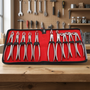 10PCS Stainless Steel Dental Extraction Forceps <b>Pliers</b> <b>Set</b> Instrument Kit with Red Case - Product Image 4