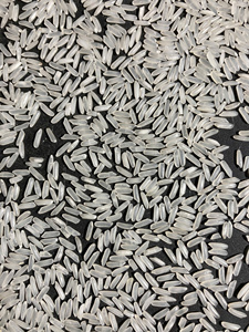 LIBIA IMPORTA ARROZ DE VIETNAM |   ARROZ DE LIBIA EN ÁFRICA: Arroz Japonica, Arroz Jazmín, Arroz de Grano Largo |   WS +84825431311 - Product Image 4
