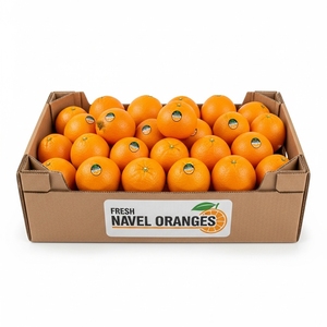 Oranges Navel fraîches soigneusement sélectionnées, fournies en cartons en vrac pour les importateurs de fruits frais, au goût sucré et emballage soigné. - Product Image 4
