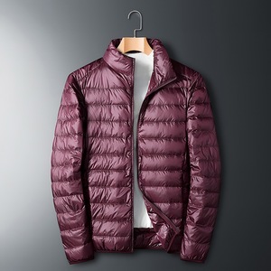 Chaqueta de Plumón Ligera para Hombre con Cuello Alto, Impermeable y Plegable, Servicio OEM Disponible - Product Image 3