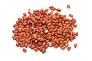 export select peanut <strong>kernels</strong> new crop select peanuts premium select indian groundnuts fresh selected peanut <strong>kernels</strong> - Product Image 6