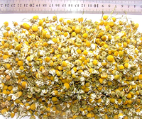 Les meilleures fleurs de camomille séchées bien nettoyées