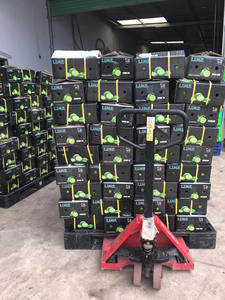 Limón Verde Fresco Natural Sin Semillas de Calidad Premium, Tamaños S, M, L, Estándares Internacionales, Cartones de 6.5kg, 7kg, 9kg / ANNA DO - Product Image 5