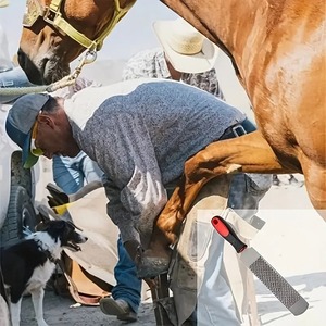 Râpe à sabots professionnelle en acier avec poignée ergonomique, lime de fermeur pour le soin et la mise en forme des sabots de cheval en écurie - Product Image 6