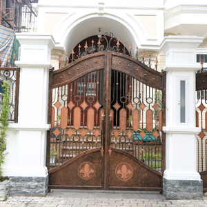 Portes en fer forgé double, de luxe, forgées à la main, anti-effraction, d'entrée, décoratives rétro, pour villa, maison, appartement, en provenance du Vietnam - Product Image 2