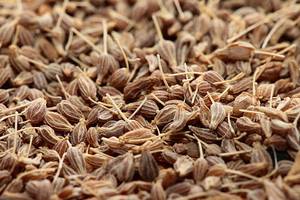 Nouvelle Saison Graines de Cumin Entières Séchées Indiennes Premium Allongées Naturelles Aromatiques Jeera Durée de Conservation de 24 Mois pour Importateurs Mondiaux - Product Image 4