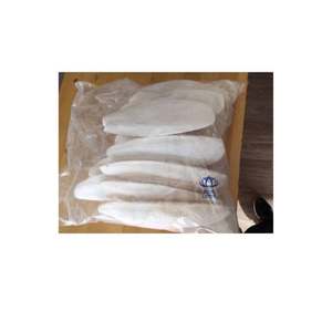 Meilleures ventes : Complément alimentaire minéral de haute qualité à base d'os de seiche, riche en calcium, à absorption rapide pour oiseaux (en vrac) - Product Image 5