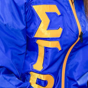Custom SGRHO Reversible Line <b>Jacket</b> for <b>Women</b> Sigma Gamma Rho Greek Sorority Blue Gold <b>Zip</b> <b>Up</b> Windbreaker Casual Outerwear - Product Image 3