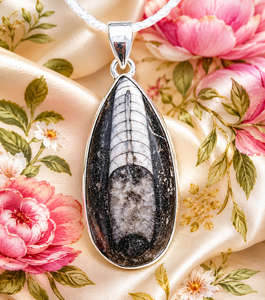 Pendentif en pierre précieuse naturelle Orthocères, argent sterling 925, plaqué or rose et or jaune, cabochon en forme de larme, bijoux faits à la main pour hommes - Product Image 5