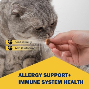 Suplemento Orgánico de Cúrcuma para la Salud de la Piel, Masticables Blandos con Alto Contenido de Proteínas para Perros y Gatos, Alivio de Alergias, Anti-Picazón, Venta al Por Mayor OEM - Product Image 2