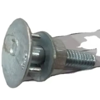Tornillo de Cabeza Abombada / Tornillo de Cabeza Abombada Allen / Tornillo de Cabeza Abombada con Rosca Interna