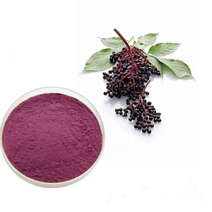 Venta al por mayor polvo de extracto de saúco negro antocianidinas 25% polvo de saúco - Product Image 1