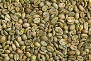 Café Arabica Pur Spécialité Vietnamienne, Grains Verts, Traitement Naturel, Qualité Supérieure, Prix Compétitifs en Gros 2026 - Product Image 6