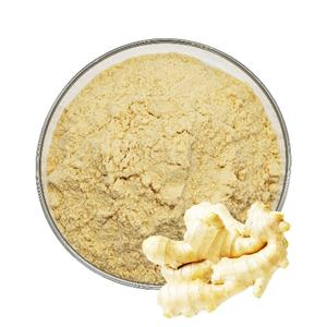 High Quality Plant Based Triphala Fruit <b>Powder</b> 100% Natural Herbal Food Grade Zingiber Officinale <b>Powder</b> Rich in Natural Vitamin - Product Image 6