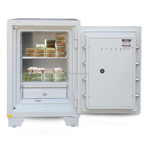 Caja fuerte de lujo WELKO S650 E, oro blanco - Product Image 3