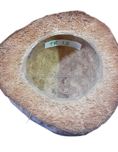 Highest Demand Natural Coconut <b>Water</b> Container Use For Terrarium Amphibians Lizard Hamsters Snake Sri Lanka Manufacture Export - Product Image 3