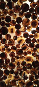 Boutons vierges de tailles et couleurs variées, fabriqués authentiquement à partir de corne de buffle et de corne de bœuf véritable par des artisans indiens. - Product Image 2