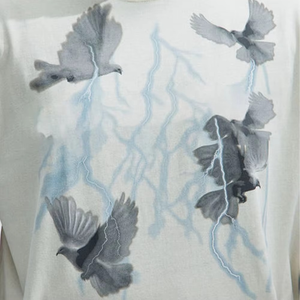 T-shirts Homme Coupe Décontractée Personnalisés avec Motif Oiseau en Coton Col Rond Manches Courtes Surdimensionnés Vente en Gros Mode Personnalisée en Gros USA - Product Image 4