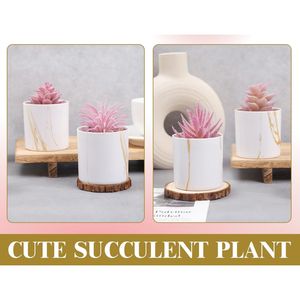 Set di 4 Piante Succulente Artificiali per Interni, Decorazioni Verdi per Camera Rosa, Bagno, Ufficio, Scrivania, Accessori per Donne - Product Image 6