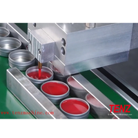 Machine de remplissage à chaud linéaire multifonctionnelle à buse unique automatique TENZ pour cosmétiques, réservoir chauffant agité de 25 L (certifiée CE)