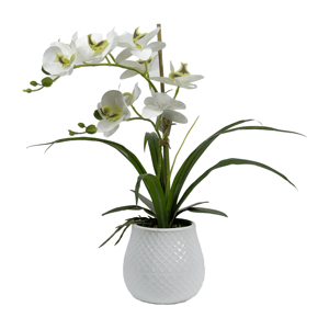 Fiori Decorativi di Orchidea Phalaenopsis per Interni di Ville e Appartamenti - Product Image 6