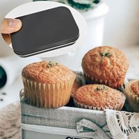 Lot de 2 boîtes de rangement rectangulaires en fer, légères, durables, écologiques, de haute qualité, avec couvercles, pour aliments, bijoux et bonbons