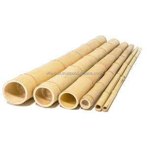 Vifarmex Strong <b>Bamboo</b> Poles | Direct from Vietnam Factory | Exporter & Wholesale Manufacturer - Product Image 1