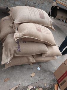 Granos de Café Verde Robusta Natural Process S18 Maduros >90% Cosecha 25-26 Embalaje a Granel 60kg/saco de yute Precio de Fábrica - Product Image 5