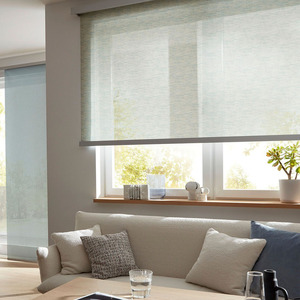 Tùy chỉnh hiện đại con lăn rèm chất lượng cao màn Cửa <span class=keywords><strong>S</strong></span>ổ Màu cho nhà và văn phòng được xây dựng trong điện dọc mô hình - Product Image 1