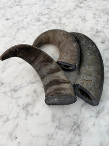 Corne de buffle polie, forme naturelle, décoration d'intérieur, artisanat sur le thème animalier - Product Image 5