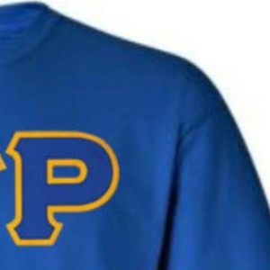 Camiseta Personalizada Sigma Gamma Rho para Mujer, Camiseta de Sororidad Griega, Manga Corta, Cuello Redondo, Algodón Informal, Logotipo Personalizado, Ropa Urbana al por Mayor - Product Image 6