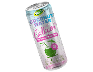 Purée d'eau de coco au collagène, saveur pastèque, canette 320ml, riche en nutriments, faible en glucides, hydratation, haute qualité, OEM ODM, marque privée - Product Image 2