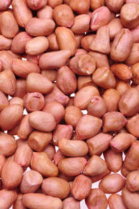 Nouvelle saison, arachides comestibles indiennes, noyaux d'arachides comestibles de qualité supérieure, noyaux d'arachides comestibles frais, nouvelle récolte - Product Image 2