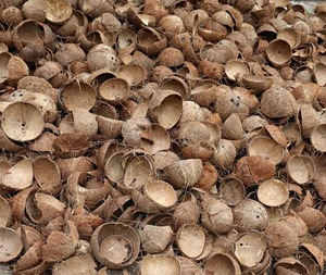 Carbón de Cáscara de Coco para Hookah, Combustible para Barbacoa, Producción de Carbón Activado, Alto Contenido de Carbono, Bajo en Cenizas, Suministro de Fábrica - Product Image 4