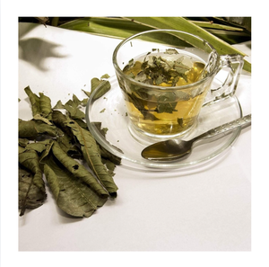 Feuilles de goyavier séchées pour tisane, entières, naturelles, qualité supérieure, 99 Gold Data Vietnam, vente en gros en vrac - Product Image 1
