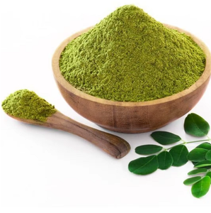 Polvo de Moringa Puro y Seco, Producto de Hoja Verde Rico en Nutrientes para Procesamiento de Alimentos, Aplicaciones de Bienestar y Mercados Mayoristas - Product Image 3