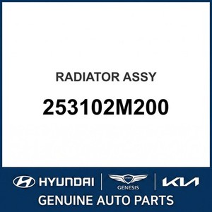 Nuevos Radiadores 253102M200 - Product Image 1