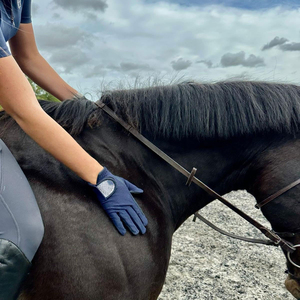2024 New Unisex Durable Anti-Slip Winter Horse Riding <b>Gloves</b> Breathable Leather Touch Screen Compatibility Moisture Wicking - Product Image 4