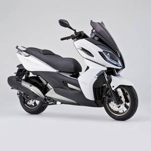 Rodillos de Peso Originales Kymco Ser 22121-GFY6-305, para Agility Downtown125 K-XCT Pepple Like125, Juego de 6 Piezas, 12g por Pieza - Product Image 3