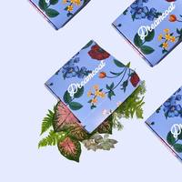Boîtes d'emballage en carton personnalisées minimalistes pour les ensembles de crèmes glacées, design élégant et écologique pour les marques modernes