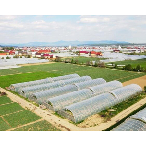 Invernadero Pequeño de Bajo Costo para Agricultura, Estructura de Invernadero Portátil para Pequeñas Operaciones Agrícolas - Product Image 3