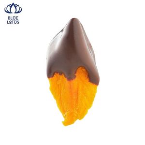 Meilleures ventes : Mangues séchées écologiques de haute qualité enrobées de chocolat – Incontournables morceaux de fruits purs premium pour mélange de collations en vrac - Product Image 1