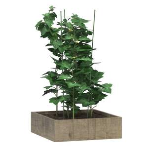 Ensemble de 5 supports de plantes vertes pour jardin, équipement d'escalade, accessoires - Product Image 3